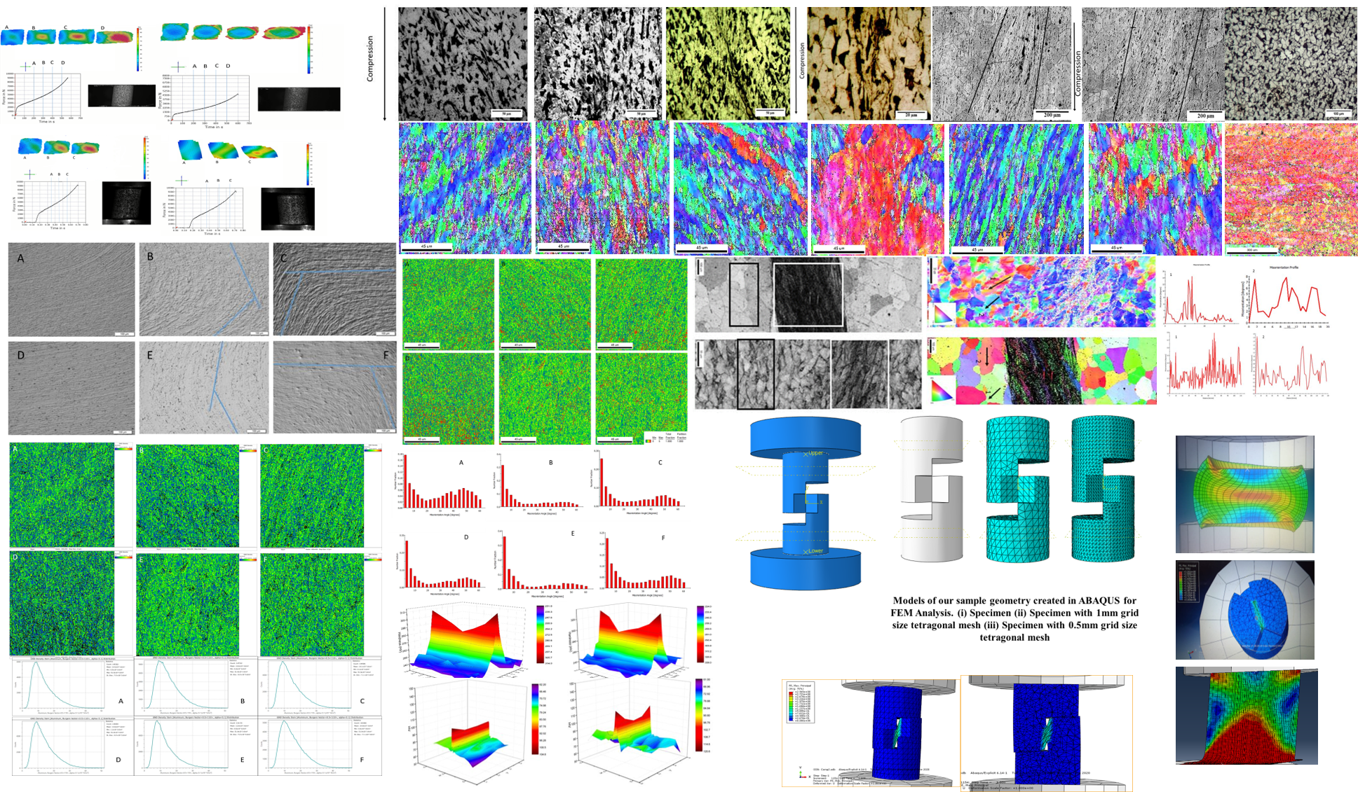 Shear Banding